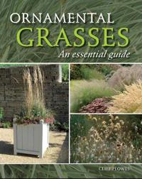 Ornamental Grasses