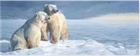 Polar Bears Panoramic Boxed Holiday Cards