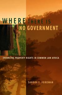 Where There Is No Government