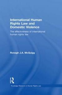 International Human Rights Law and Domestic Violence