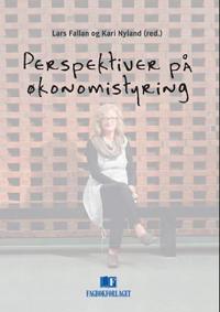 Perspektiver på økonomistyring
