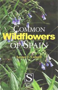 Common Wildflowers of Spain