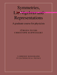 Symmetries, Lie Algebras and Representations