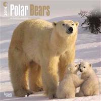 Polar Bears 2014 Wall Calendar