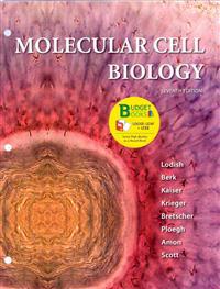 Molecular Cell Biology