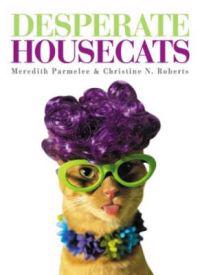 Desperate Housecats