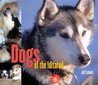 Dogs of the Iditarod