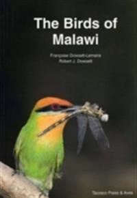 Birds of Malawi