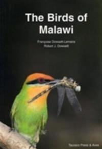 Birds of Malawi