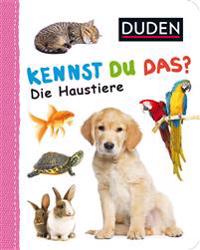 Letters to Penthouse XXXXV