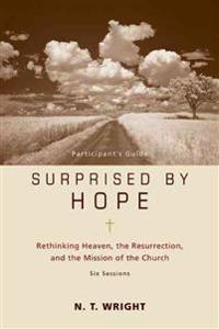 Surprised by Hope: Rethinking Heaven, the Resurrection, and the Mission of the Church [With DVD]