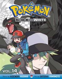 Pokemon Black & White