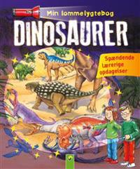 Mein Taschenlampenbuch Dinosaurier