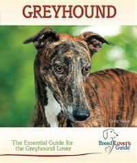 Greyhound