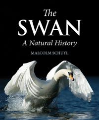 The Swan