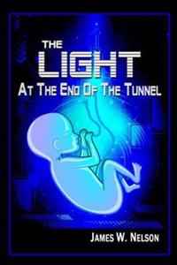 The Light at the End of the Tunnel: One Theory of Reincarnation