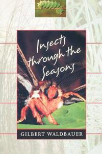 Insects Through the Seasons