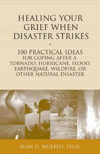 Healing Your Grief When Disaster Strikes: 100 Practical Ideas for Coping After a Tornado, Hurricane, Flood, Earthquake, Wildfire, or Other Natural Dis
