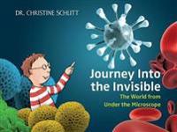 Journey Into the Invisible: The World from Under the Microscope