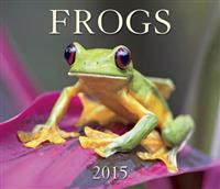 Frogs 2015 Calendar
