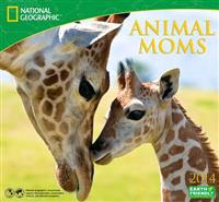 Animal Moms
