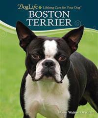 Boston Terrier [With DVD]