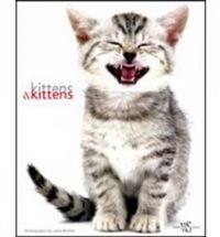 Kittens & Kittens