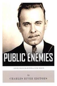 Public Enemies: Al Capone, John Dillinger, Bonnie & Clyde, and Baby Face Nelson