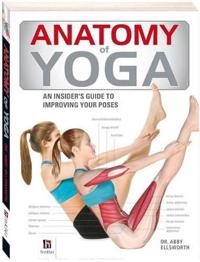 Anatomy Of Yoga