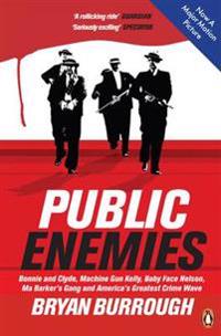 Public Enemies