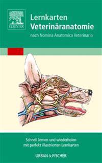 Lernkarten Veterinaranatomie/Veterinary Anatomy Flash Cards