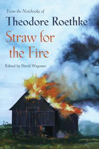 Straw for the Fire: From the Notebooks of Theodore Roethke 1943-63