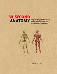 30-second Anatomy