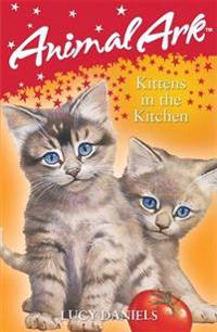 Kittens in the Kitchen