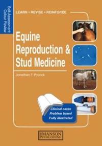 Equine Reproduction and Stud Medicine