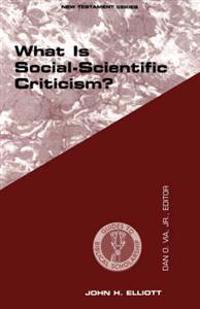 What is Social-Scientific Criticism?