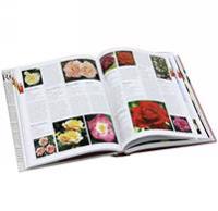 RHS ENCYCLOPEDIA OF ROSES