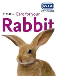 Care for Your Rabbit