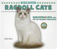 Discover Ragdoll Cats