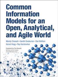 Common Information Models for an Open, Analytical and Agile World