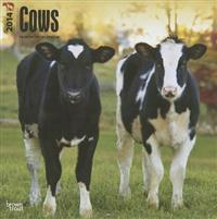 Cows 2014 Wall Calendar