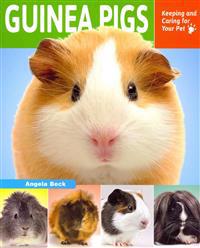 Guinea Pigs: Keeping and Caring for Your Pet