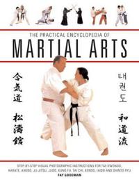 The Practical Encyclopedia Of Martial Arts