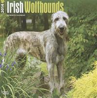 Irish Wolfhounds 2014 Wall Calendar