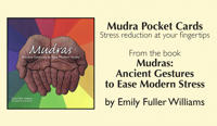 Mudra Pocket Cards: Stress Reduction at Your Fingertips [With Bag]