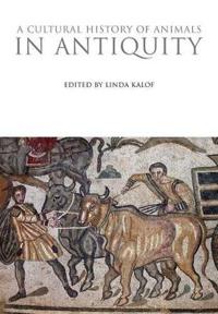 A Cultural History of Animals in Antiquity