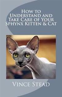 How to Understand and Take Care of Your Sphynx Kitten & Cat