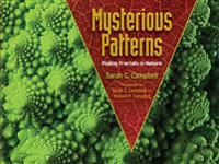 Mysterious Patterns: Finding Fractals in Nature