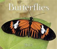 Butterflies 2015 Calendar