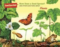 How does a seed sprout?